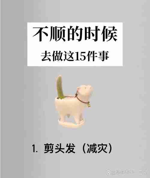 解密独家幸运技巧，幸运步步紧跟你，揭秘独家幸运技巧，步步紧跟你