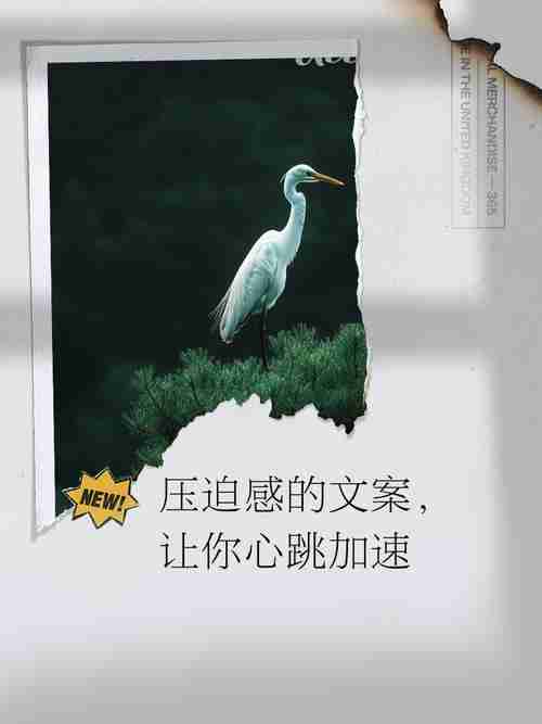 解密独家幸运技巧，幸运步步紧跟你