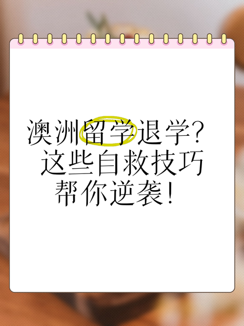 超越传统！澳洲5种技巧助你逆袭！，超越传统！澳洲5种技巧助你逆袭！，超越传统，澳洲5种超实用技巧助力逆袭