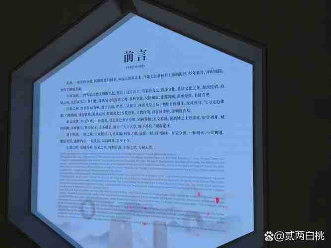 前言，AI技术在医疗领域的应用探索，AI技术在医疗领域，如何推动医疗服务的变革与提升