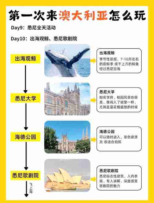 澳洲生存指南：10年经验总结的本地生活实用技巧